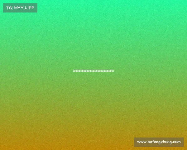 克罗地亚国脚埃尔利奇从博洛尼亚转会至中日德兰正式加盟